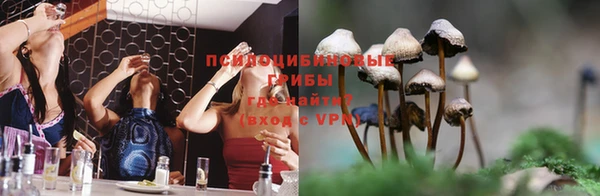 a pvp Абинск