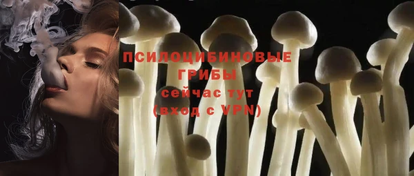 прущие крисы Алексеевка