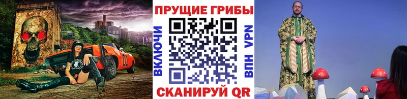 Псилоцибиновые грибы GOLDEN TEACHER  Вилючинск 
